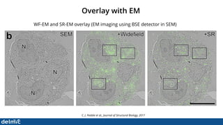 Superresolution Correlative Light and Electron Microscopy - DELMIC | PDF