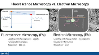 Superresolution Correlative Light and Electron Microscopy - DELMIC | PDF
