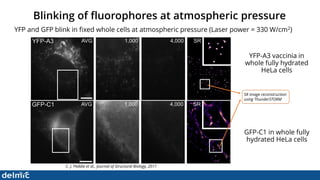 Superresolution Correlative Light and Electron Microscopy - DELMIC | PDF