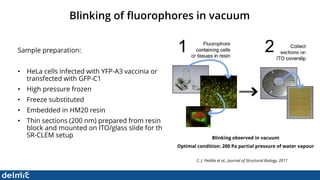 Superresolution Correlative Light and Electron Microscopy - DELMIC | PDF