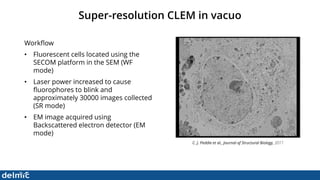 Superresolution Correlative Light and Electron Microscopy - DELMIC | PDF