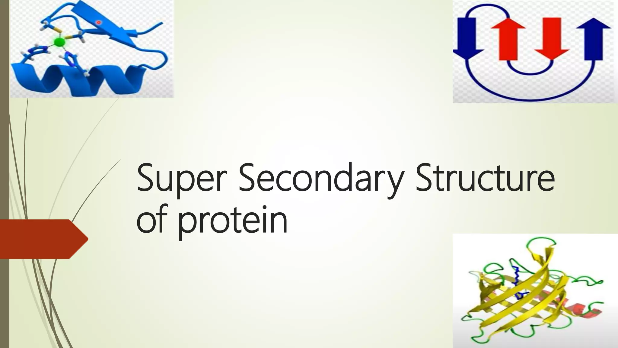 Super secondary structure of protein | PPTX