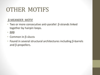 OTHER MOTIFS
β-MEANDER MOTIF
• Two or more consecutive anti-parallel β-strands linked
together by hairpin loops.
• βββ
• Common in β-sheets
• Found in several structural architectures including β-barrels
and β-propellers.
 