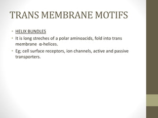 TRANS MEMBRANE MOTIFS
• HELIX BUNDLES
• It is long streches of a polar aminoacids, fold into trans
membrane α-helices.
• Eg; cell surface receptors, ion channels, active and passive
transporters.
 