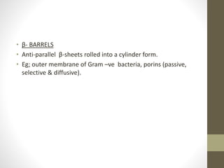 • β- BARRELS
• Anti-parallel β-sheets rolled into a cylinder form.
• Eg; outer membrane of Gram –ve bacteria, porins (passive,
selective & diffusive).
 