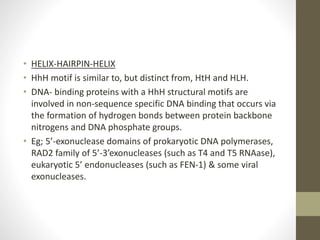 • HELIX-HAIRPIN-HELIX
• HhH motif is similar to, but distinct from, HtH and HLH.
• DNA- binding proteins with a HhH structural motifs are
involved in non-sequence specific DNA binding that occurs via
the formation of hydrogen bonds between protein backbone
nitrogens and DNA phosphate groups.
• Eg; 5’-exonuclease domains of prokaryotic DNA polymerases,
RAD2 family of 5’-3’exonucleases (such as T4 and T5 RNAase),
eukaryotic 5’ endonucleases (such as FEN-1) & some viral
exonucleases.
 