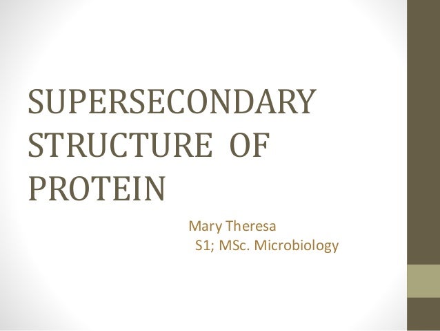 super secondary structure of protein ppt