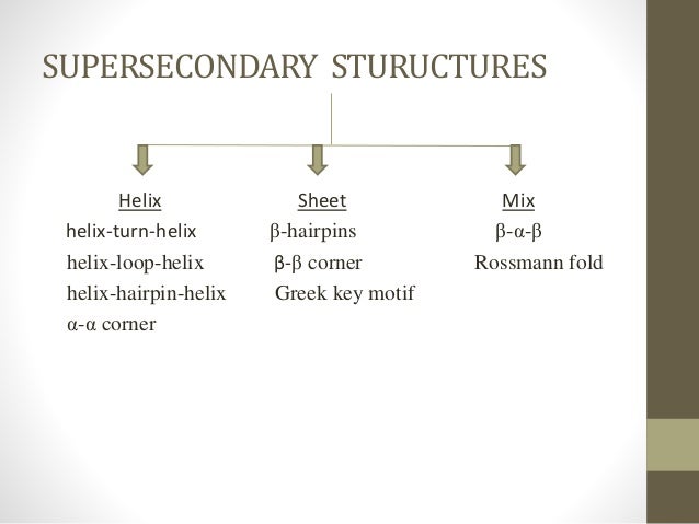 super secondary structure of protein ppt