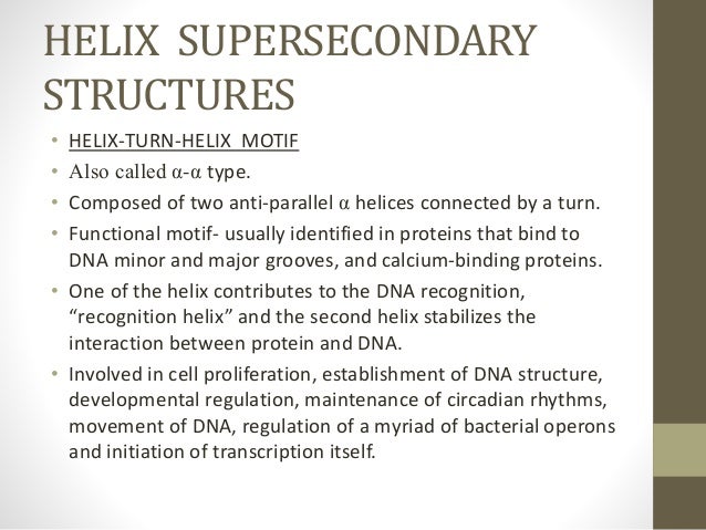 super secondary structure of protein ppt