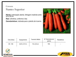 Cenoura Nantes Superior Planta:  polinização aberta, folhagem medindo entre 25 e 35 cm. Raiz:  cilíndrica, uniforme e lisa. Características:  indicada para o plantio de inverno. Ciclo (Dias)‏ 90 - 100 Espaçamento 0,20 x 0,10 m Tamanho Médio  16 x 2,8 cm N.º Sementes por grama 700 Resistência - 
