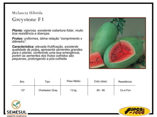 Melancia Híbrida Greystone F1 Planta:  vigorosa, excelente cobertura foliar, muito boa resistência a doenças. Frutos:  uniformes, ótima relação “comprimento x diâmetro”. Característica:  elevada frutificação, excelente qualidade de polpa ,  apresenta sementes grandes para o plantio, conferindo uma boa emergência, porém as sementes dos frutos colhidos são pequenas, prolongando a pós-colheita.   12º Charleston Gray 13 kg 80 - 90 Resistência Co e Fon Peso Médio  Ciclo (dias)‏ Brix Tipo 