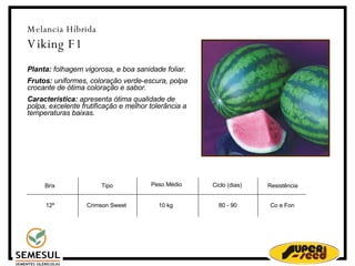 Melancia Híbrida Viking F1 Planta:  folhagem vigorosa, e boa sanidade foliar.   Frutos:  uniformes, coloração verde-escura, polpa crocante de ótima coloração e sabor. Característica:  apresenta ótima qualidade de polpa, excelente frutificação e melhor tolerância a temperaturas baixas. 12º Crimson Sweet 10 kg 80 - 90 Resistência Co e Fon Peso Médio  Ciclo (dias)‏ Brix Tipo 
