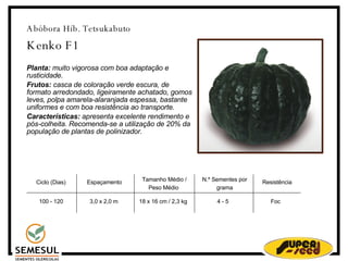 Abóbora Híb. Tetsukabuto Kenko F1 Planta:  muito vigorosa com boa adaptação e rusticidade. Frutos:  casca de coloração verde escura, de formato arredondado, ligeiramente achatado, gomos leves, polpa amarela-alaranjada espessa, bastante uniformes e com boa resistência ao transporte. Características:  apresenta excelente rendimento e pós-colheita. Recomenda-se a utilização de 20% da população de plantas de polinizador. Ciclo (Dias)‏ 100 - 120 Espaçamento 3,0 x 2,0 m Tamanho Médio / Peso Médio  18 x 16 cm / 2,3 kg N.º Sementes por grama 4 - 5 Resistência Foc 