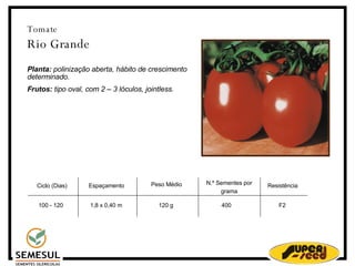 Tomate Rio Grande Planta:  polinização aberta, hábito de crescimento determinado. Frutos:  tipo oval, com 2 – 3 lóculos, jointless. Ciclo (Dias)‏ 100 - 120 Espaçamento 1,8 x 0,40 m 120 g N.º Sementes por grama 400 Resistência F2 Peso Médio  