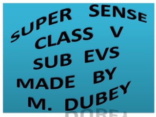 SUPER
CLASS V
SUB EVS
MADE BY
M. DUBEY
 