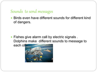 Sounds to send messages
 Birds even have different sounds for different kind
of dangers.
 Fishes give alarm call by electric signals .
Dolphins make different sounds to message to
each others.
 
