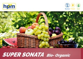 SUPER SONATA Bio- Organic
 