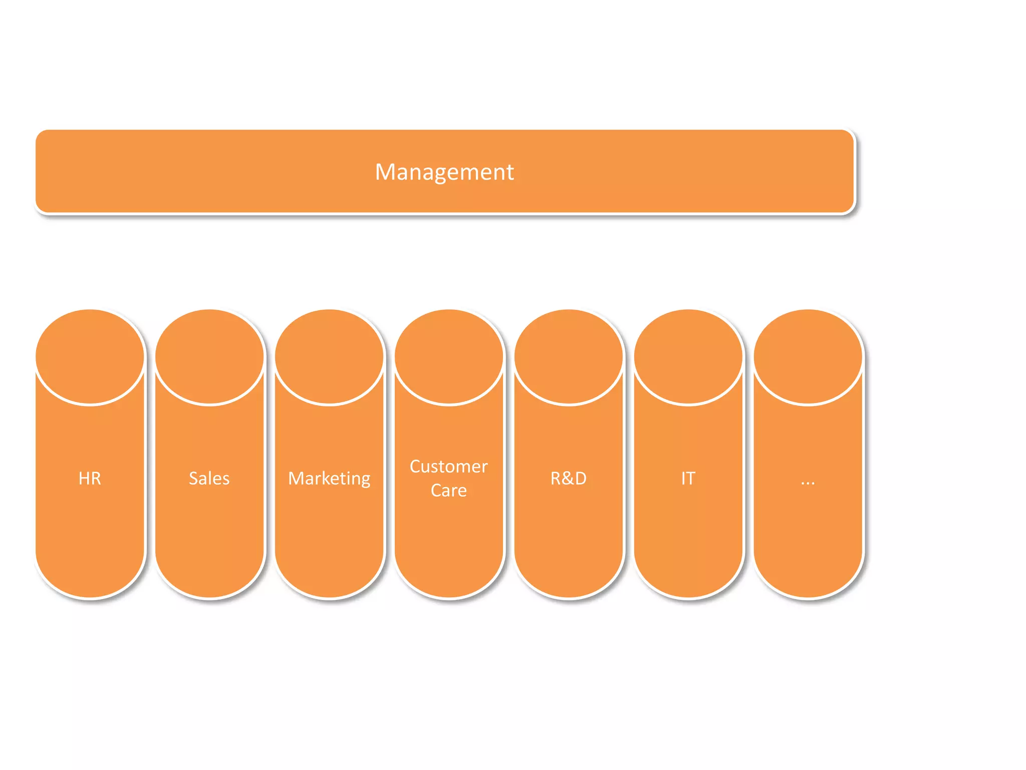 Management




                           Customer
HR   Sales   Marketing                R&D   IT   ...
                             Care
 