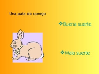 Una pata de conejo <ul><li>Buena suerte </li></ul><ul><li>Mala suerte </li></ul>