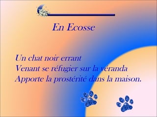 En Ecosse
Un chat noir errant
Venant se réfugier sur la véranda
Apporte la prostérité dans la maison.
 