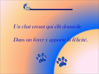 Un chat errant qui élit domicile
Dans un foyer y apporte la félicité.
 