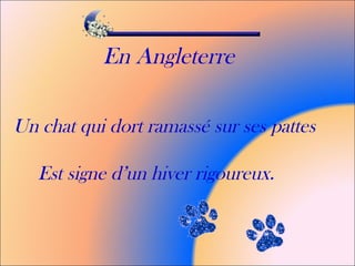 En Angleterre
Un chat qui dort ramassé sur ses pattes
Est signe d’un hiver rigoureux.
 