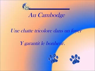 Au Cambodge
Une chatte tricolore dans un foyer
Y garantit le bonheur.
 
