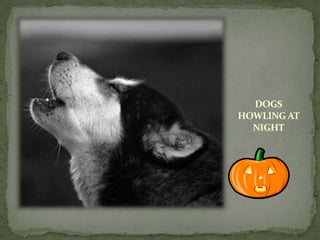 DOGS
HOWLING AT
  NIGHT
 