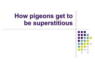 How pigeons get to be superstitious 