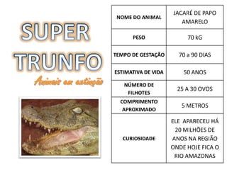 JACARÉ DE PAPO
                       NOME DO ANIMAL
                                              AMARELO

                            PESO                70 kG

                      TEMPO DE GESTAÇÃO      70 a 90 DIAS

                      ESTIMATIVA DE VIDA       50 ANOS
Animais em extinção      NÚMERO DE
                                             25 A 30 OVOS
                          FILHOTES
                        COMPRIMENTO
                                              5 METROS
                         APROXIMADO

                                           ELE APARECEU HÁ
                                            20 MILHÕES DE
                         CURIOSIDADE       ANOS NA REGIÃO
                                           ONDE HOJE FICA O
                                            RIO AMAZONAS
 