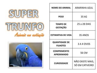 NOME DO ANIMAL       ARARINHA AZUL


                            PESO                35 kG

                          TEMPO DE           25 a 28 DIAS
                          GESTAÇÃO


Animais em extinção   ESTIMATIVA DE VIDA       35 ANOS

                       QUANTIDADE DE
                                              3 A 4 OVOS
                         FILHOTES

                        COMPRIMENTO
                                                56 CM
                         APROXIMADO

                                           NÃO EXISTE MAIS,
                         CURIOSIDADE
                                           SÓ EM CATIVEIRO
 