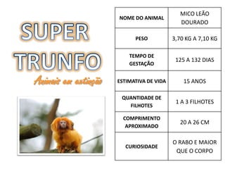 MICO LEÃO
                      NOME DO ANIMAL
                                              DOURADO

                            PESO           3,70 KG A 7,10 KG

                          TEMPO DE
                                            125 A 132 DIAS
                          GESTAÇÃO


Animais em extinção   ESTIMATIVA DE VIDA       15 ANOS

                       QUANTIDADE DE
                                            1 A 3 FILHOTES
                         FILHOTES

                        COMPRIMENTO
                                              20 A 26 CM
                         APROXIMADO

                                           O RABO E MAIOR
                         CURIOSIDADE
                                            QUE O CORPO
 