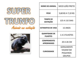 NOME DO ANIMAL       MICO LEÃO PRETO


                            PESO           3,60 KG A 7,10 KG

                          TEMPO DE
                                            125 A 132 DIAS
                          GESTAÇÃO


Animais em extinção   ESTIMATIVA DE VIDA       15 ANOS

                       QUANTIDADE DE
                                            1 A 3 FILHOTES
                         FILHOTES

                        COMPRIMENTO
                                              20 A 26 CM
                         APROXIMADO
                                            GERALMENTE
                                             VIAJAM EM
                         CURIOSIDADE
                                             PEQUENOS
                                              GRUPOS
 