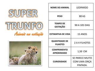 NOME DO ANIMAL         LEOPARDO


                            PESO                80 kG

                          TEMPO DE
                                            90 A 105 DIAS
                          GESTAÇÃO


Animais em extinção   ESTIMATIVA DE VIDA      15 ANOS

                       QUANTIDADE DE
                                            2 A 4 FILHOTES
                         FILHOTES

                        COMPRIMENTO
                                              1,50 CM
                         APROXIMADO

                                           SE PARECE MUITO
                         CURIOSIDADE       COM UMA ONÇA
                                               PINTADA.
 