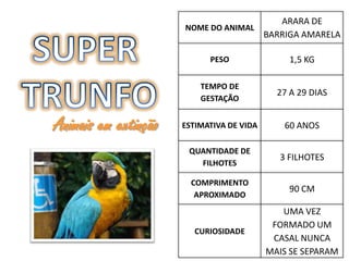 ARARA DE
                      NOME DO ANIMAL
                                           BARRIGA AMARELA

                            PESO                1,5 KG

                          TEMPO DE
                                             27 A 29 DIAS
                          GESTAÇÃO


Animais em extinção   ESTIMATIVA DE VIDA       60 ANOS

                       QUANTIDADE DE
                                              3 FILHOTES
                         FILHOTES

                        COMPRIMENTO
                                                90 CM
                         APROXIMADO
                                              UMA VEZ
                                            FORMADO UM
                         CURIOSIDADE
                                            CASAL NUNCA
                                           MAIS SE SEPARAM
 