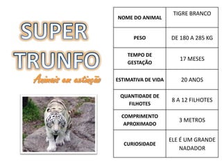 TIGRE BRANCO
                      NOME DO ANIMAL


                            PESO           DE 180 A 285 KG

                          TEMPO DE
                                              17 MESES
                          GESTAÇÃO


Animais em extinção   ESTIMATIVA DE VIDA      20 ANOS

                       QUANTIDADE DE
                                           8 A 12 FILHOTES
                         FILHOTES

                        COMPRIMENTO
                                              3 METROS
                         APROXIMADO

                                           ELE É UM GRANDE
                         CURIOSIDADE
                                               NADADOR
 