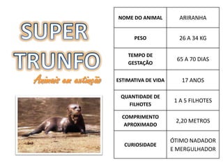 NOME DO ANIMAL         ARIRANHA


                            PESO             26 A 34 KG

                          TEMPO DE
                                             65 A 70 DIAS
                          GESTAÇÃO


Animais em extinção   ESTIMATIVA DE VIDA      17 ANOS

                       QUANTIDADE DE
                                            1 A 5 FILHOTES
                         FILHOTES

                        COMPRIMENTO
                                            2,20 METROS
                         APROXIMADO

                                           ÓTIMO NADADOR
                         CURIOSIDADE
                                           E MERGULHADOR
 