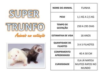 NOME DO ANIMAL           FUINHA


                            PESO            1,1 KG A 2,5 KG

                          TEMPO DE
                                            250 A 295 DIAS
                          GESTAÇÃO


Animais em extinção   ESTIMATIVA DE VIDA       18 ANOS

                       QUANTIDADE DE
                                            3 A 5 FILHOTES
                         FILHOTES

                        COMPRIMENTO
                                             40 A 50 CM
                         APROXIMADO

                                            ELA JÁ MATOU
                         CURIOSIDADE       MUITOS RATOS NO
                                               MUNDO
 