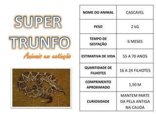 NOME DO ANIMAL          CASCAVEL


                            PESO                2 kG

                          TEMPO DE
                                               6 MESES
                          GESTAÇÃO


Animais em extinção   ESTIMATIVA DE VIDA    55 A 70 ANOS

                       QUANTIDADE DE
                                           16 A 24 FILHOTES
                         FILHOTES

                        COMPRIMENTO
                                               1,50 M
                         APROXIMADO

                                           MANTEM PARTE
                         CURIOSIDADE       DA PELA ANTIGA
                                             NA CAUDA
 