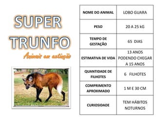 NOME DO ANIMAL     LOBO GUARA


                           PESO           20 A 25 kG

                         TEMPO DE
                                           65 DIAS
                         GESTAÇÃO

                                             13 ANOS
Animais em extinção   ESTIMATIVA DE VIDA PODENDO CHEGAR
                                            A 15 ANOS
                       QUANTIDADE DE
                                          6 FILHOTES
                         FILHOTES

                       COMPRIMENTO
                                         1 M E 30 CM
                        APROXIMADO

                                         TEM HÁBITOS
                        CURIOSIDADE
                                          NOTURNOS
 