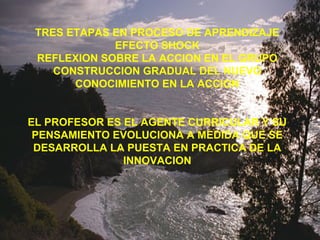 TRES ETAPAS EN PROCESO DE APRENDIZAJE
EFECTO SHOCK
REFLEXION SOBRE LA ACCION EN EL GRUPO
CONSTRUCCION GRADUAL DEL NUEVO
CONOCIMIENTO EN LA ACCION
EL PROFESOR ES EL AGENTE CURRICULAR Y SU
PENSAMIENTO EVOLUCIONA A MEDIDA QUE SE
DESARROLLA LA PUESTA EN PRACTICA DE LA
INNOVACION
 