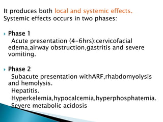 It produces both local and systemic effects.
Systemic effects occurs in two phases:
 Phase 1
Acute presentation (4-6hrs):cervicofacial
edema,airway obstruction,gastritis and severe
vomiting.
 Phase 2
Subacute presentation withARF,rhabdomyolysis
and hemolysis.
Hepatitis.
Hyperkelemia,hypocalcemia,hyperphosphatemia.
Severe metabolic acidosis
 
