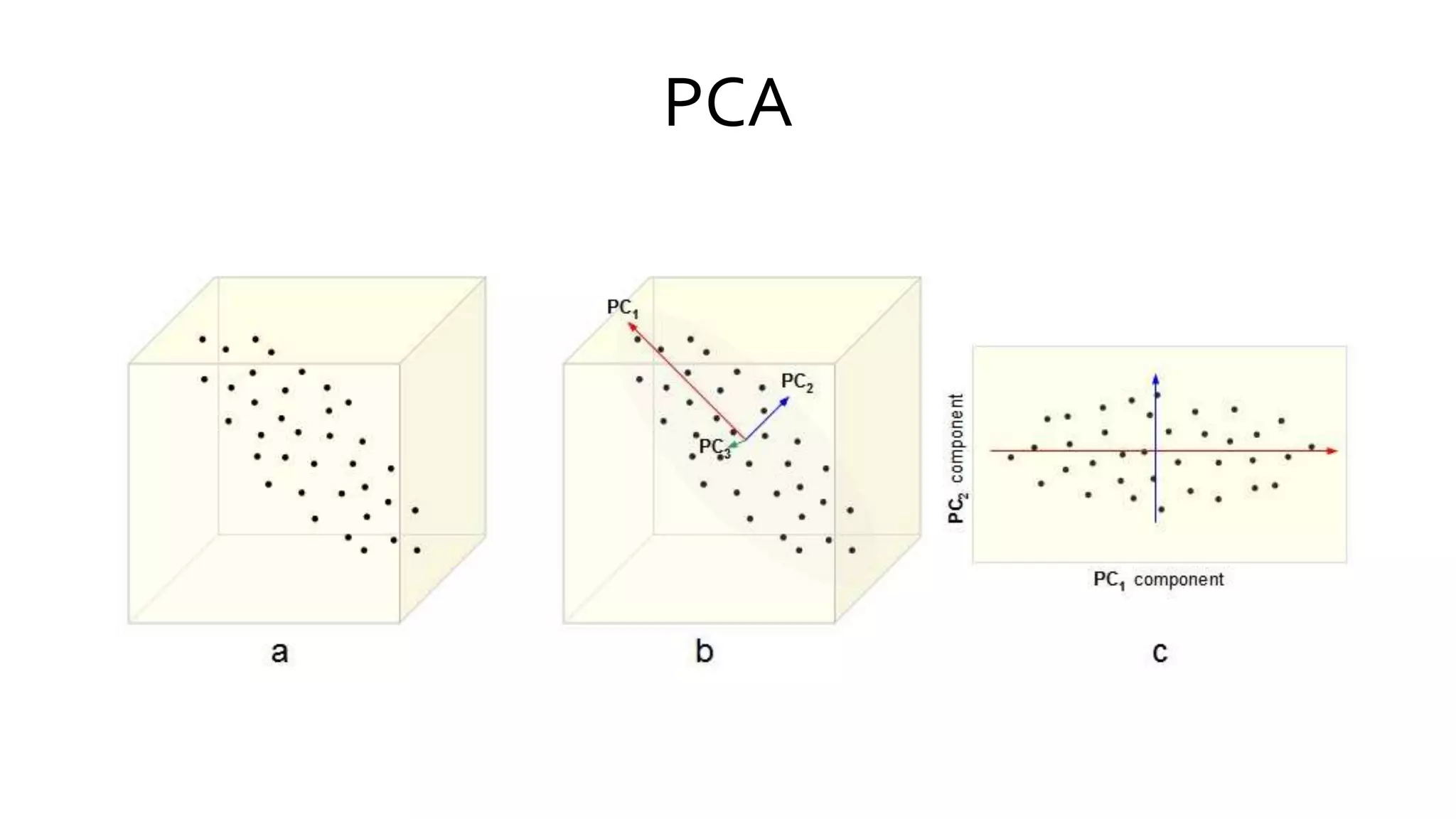 PCA
 