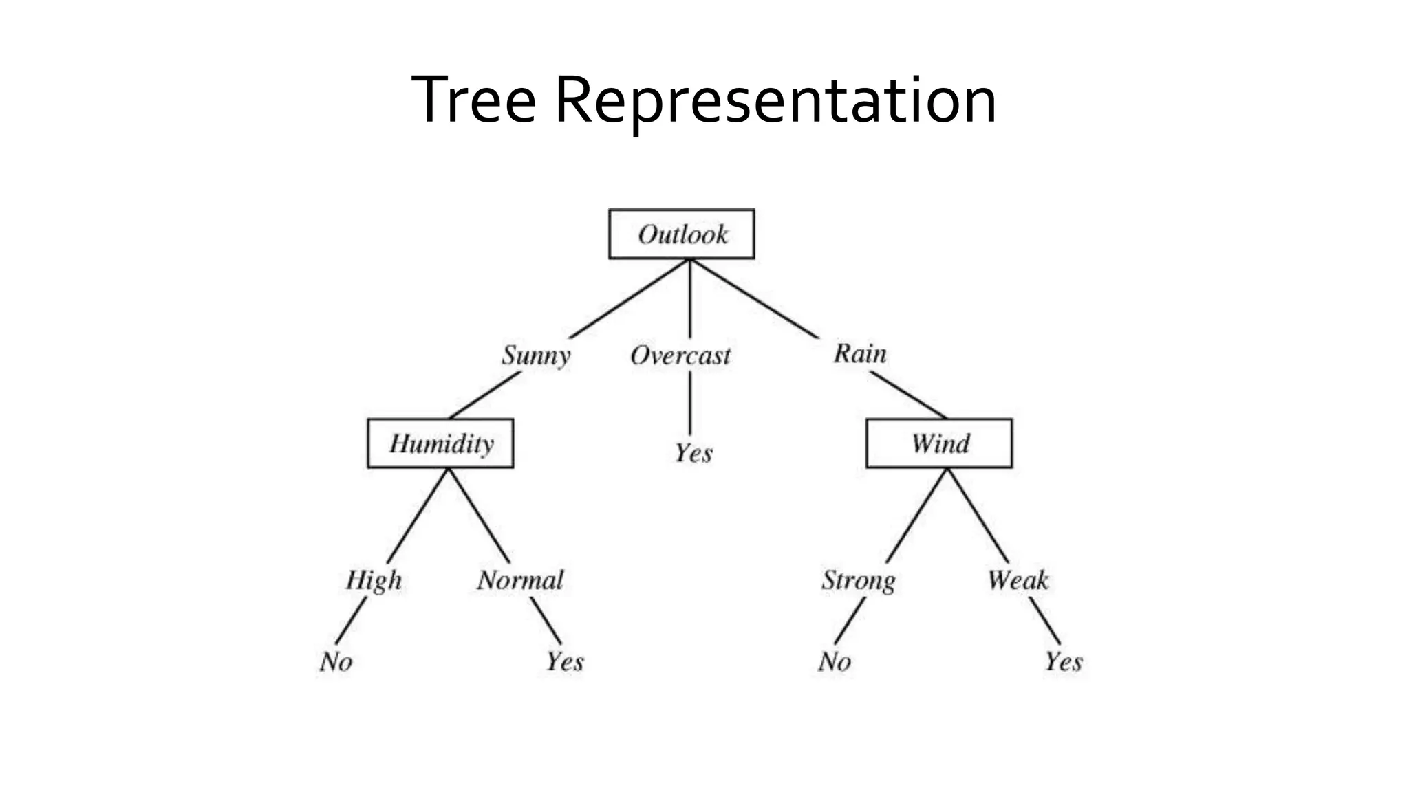 Tree Representation
 