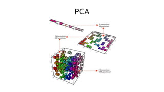 PCA
 