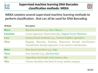 Supervised Machine Learning Barcodes DNA | PPT