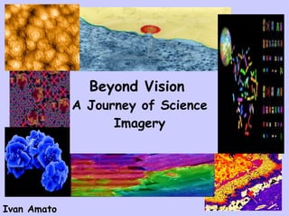 Beyond Vision   A Journey of Science Imagery Ivan Amato 
