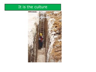 It is the culture
 