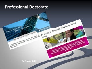 Professional Doctorate




        Dr Elaine Ball
 