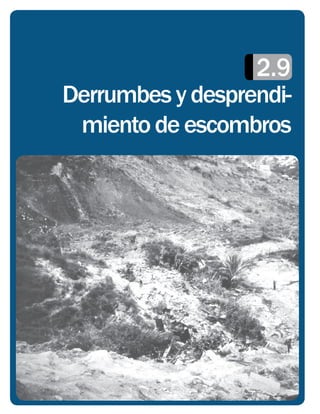2.9
Derrumbes y desprendi-
 miento de escombros
 